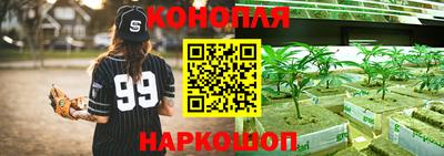 ешки Моздок