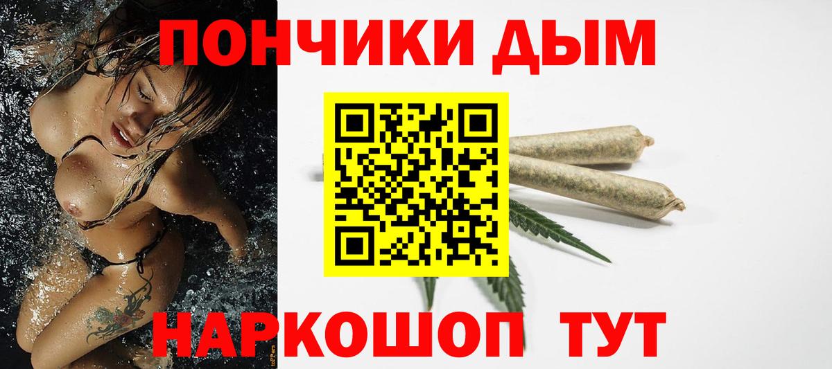 Канабис сатива Сургут